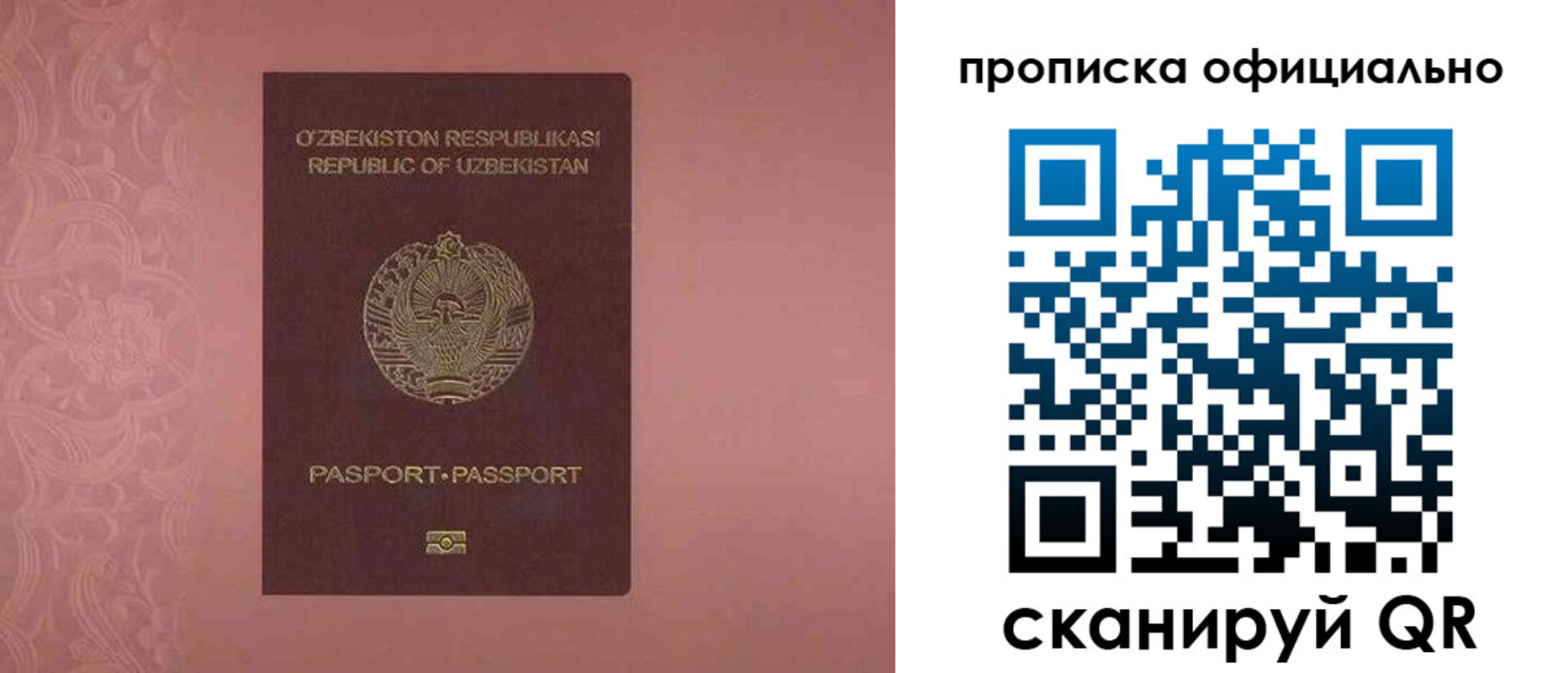прописка гарантия в Амурской области